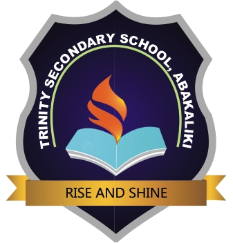 Trinity Schools Nigeria